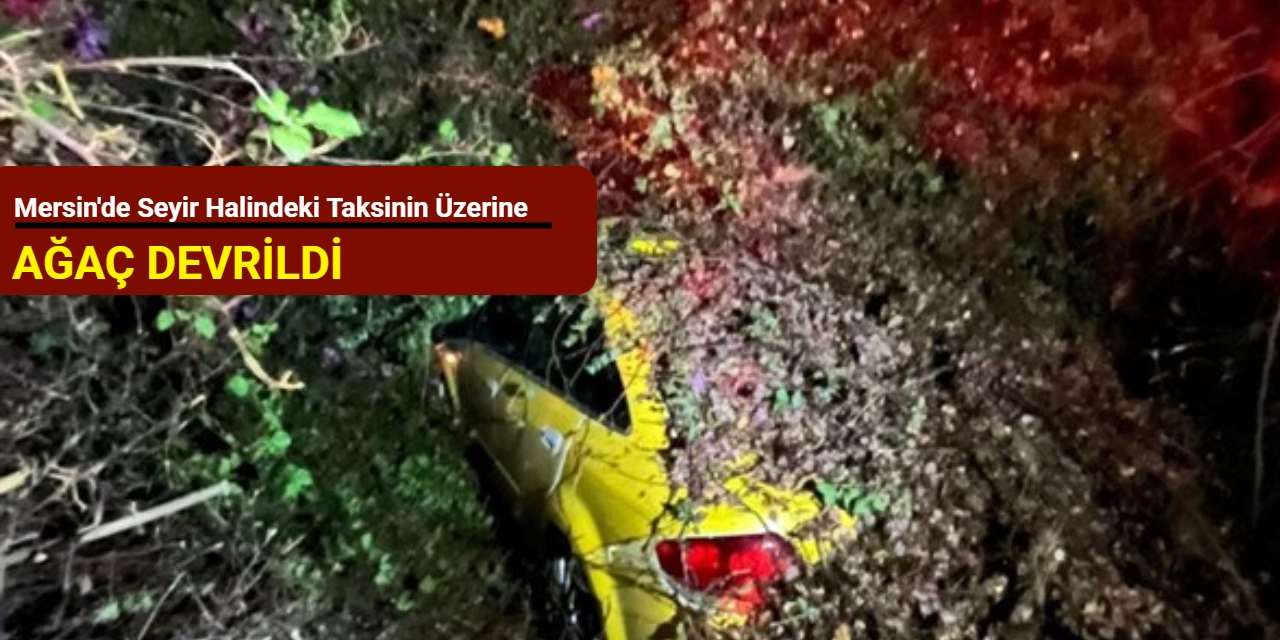 Mersin'de seyir halindeki taksinin üzerine ağaç devrildi