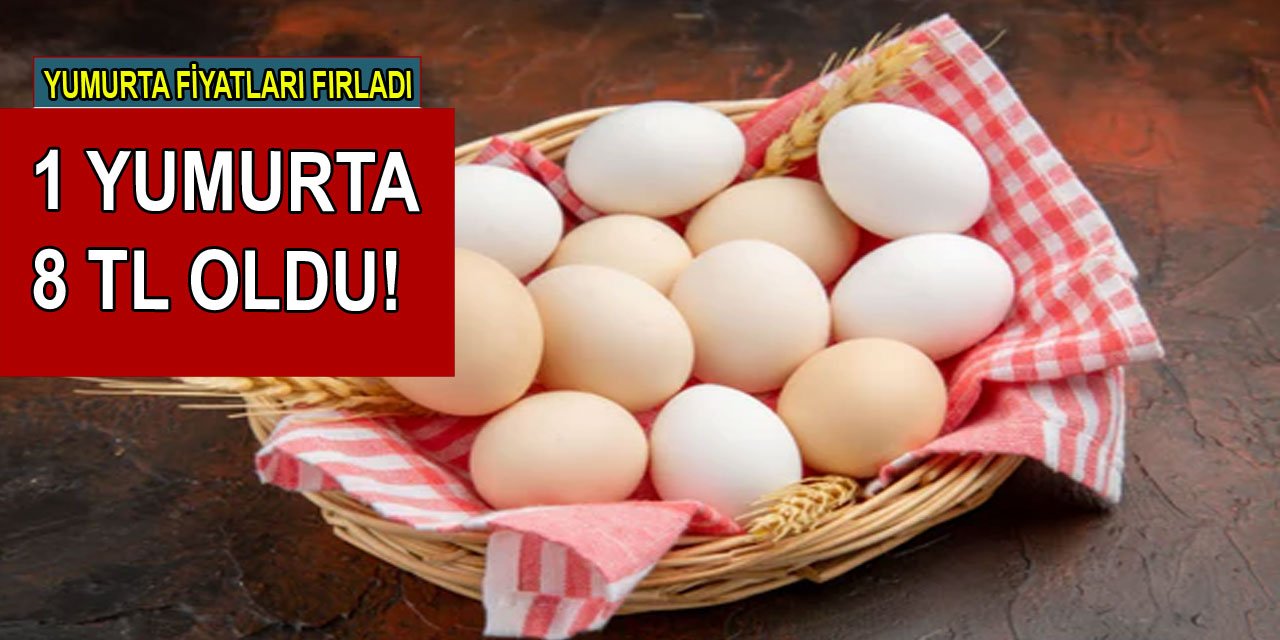 Yumurta fiyatları fırladı! 1 yumurta 8 TL oldu