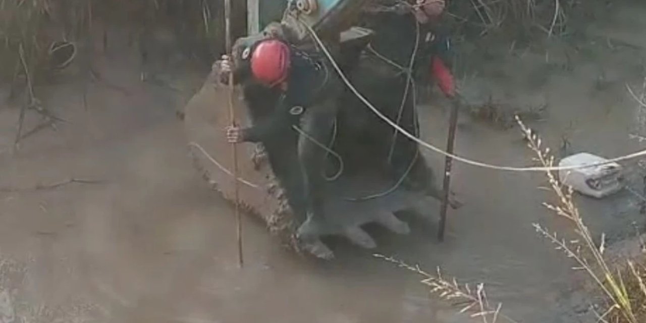 Adana'da gölete düşen çocuk hayatını kaybetti