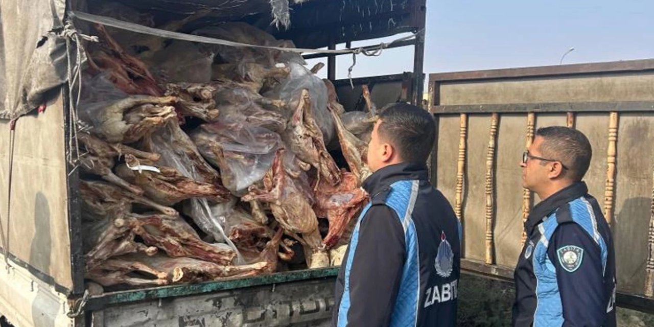 Gaziantep'te 2 tona yakın bozuk et imha edildi
