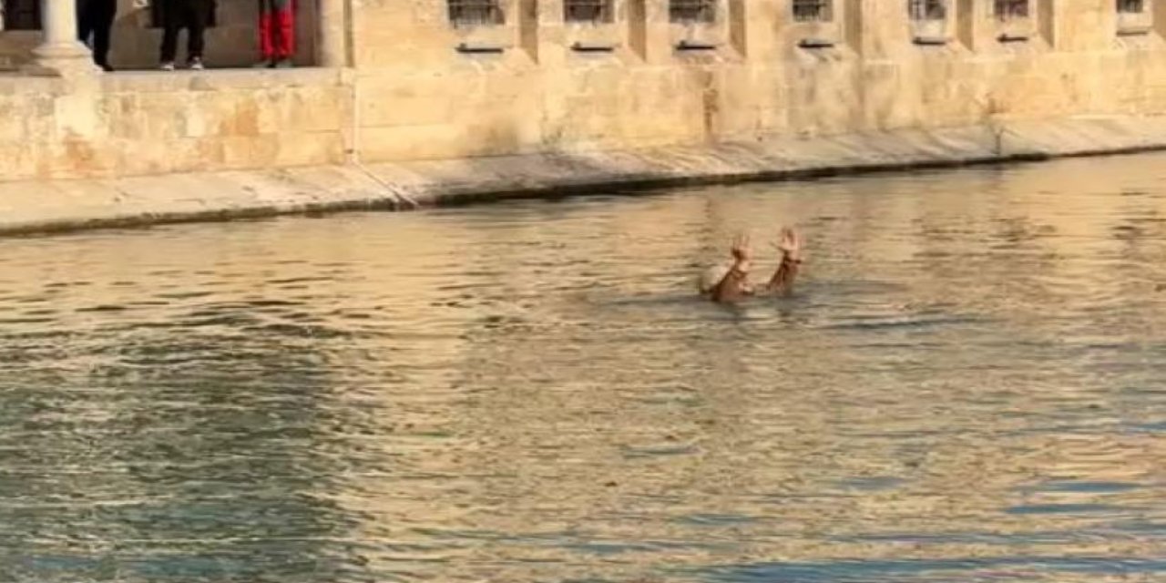 Şanlıurfa'da işten atılan bir kişi Balıklıgöl'e atladı