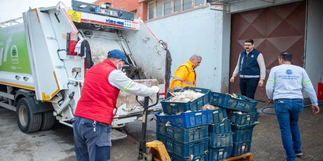 Adana'da bir depoda 25 kasa kokmuş tavuk ele geçirildi