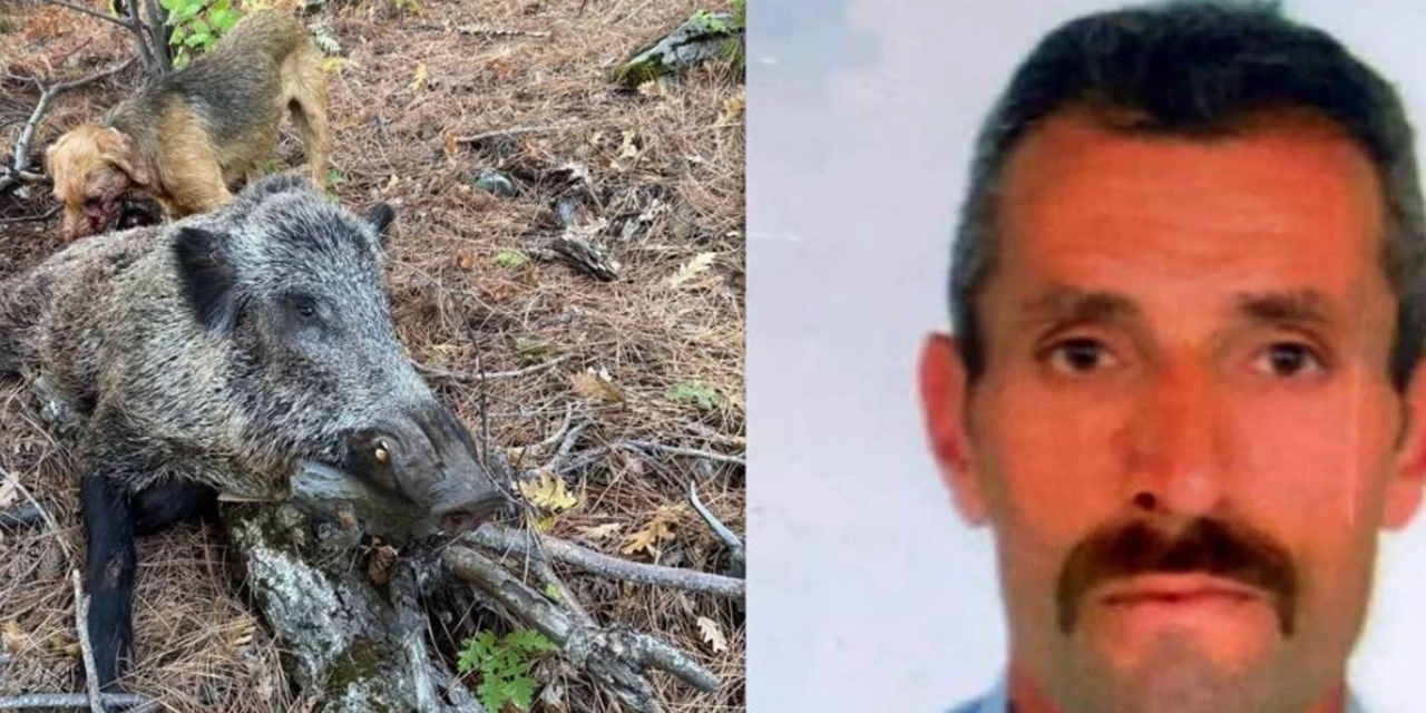 Domuz saldırısına uğrayan avcı hayatını kaybetti
