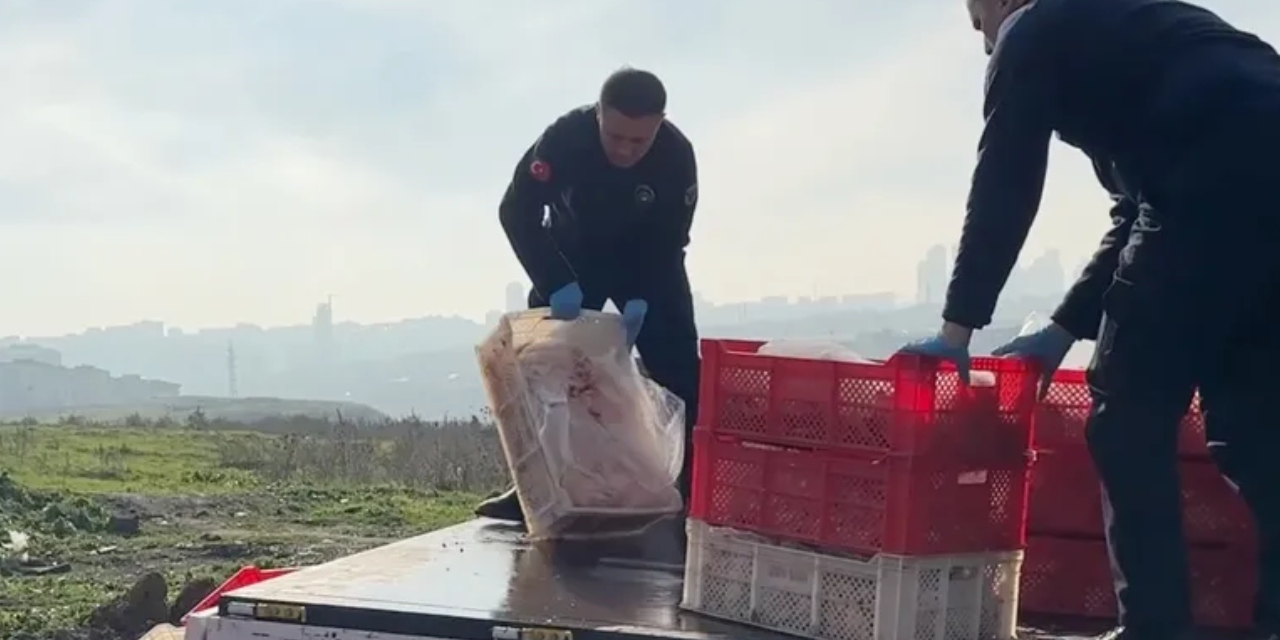 İstanbul'da kaçak ve sağlıksız 1 ton tavuk eti imha edildi: İşletme mühürlendi