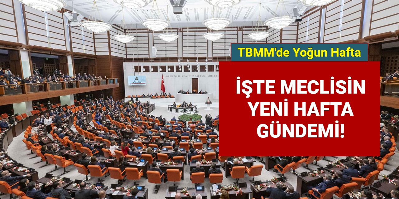 TBMM'nin 18-22 Kasım gündemi açıklandı