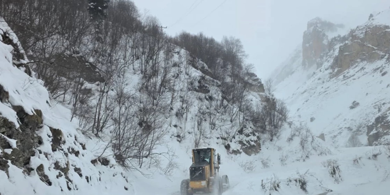Artvin'de çığ: Mahsur kalanlar var