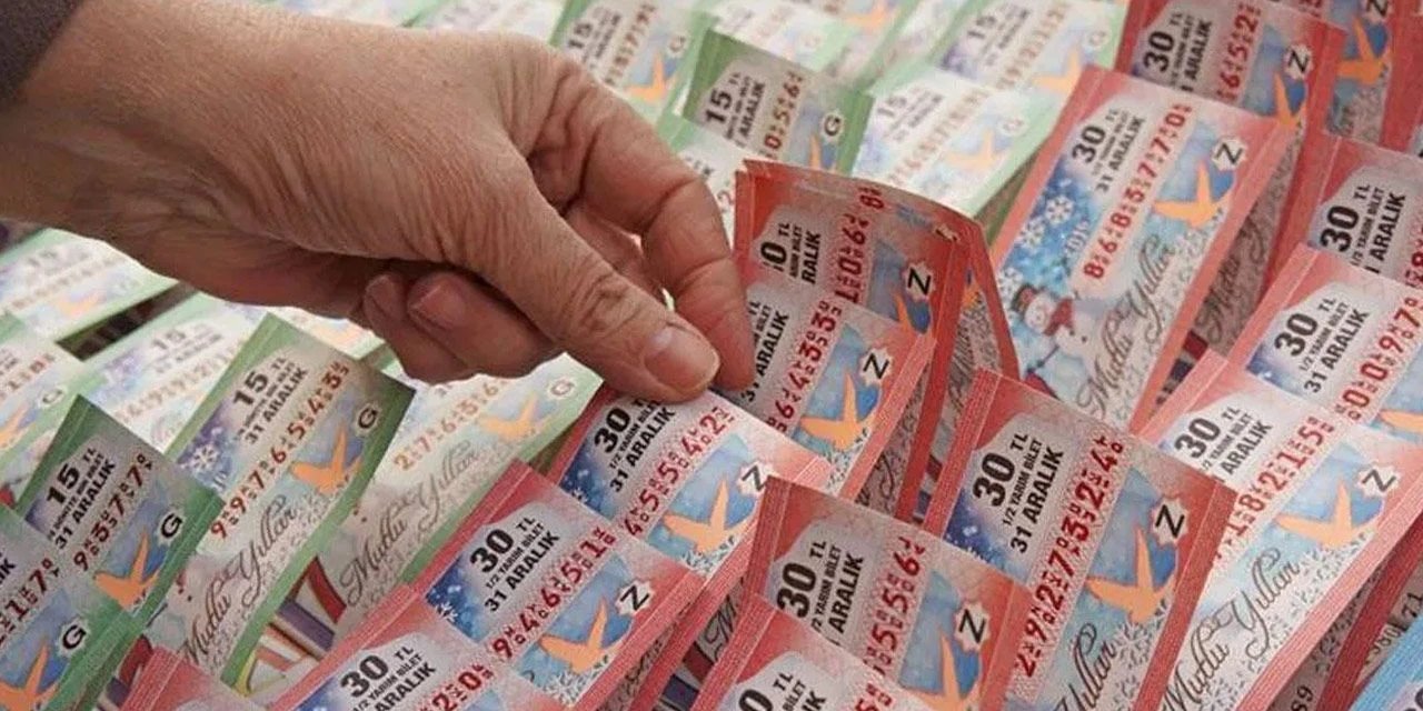 Milli Piyango sonuç sorgulama ekranı, amorti numarası, büyük ikramiye numarası