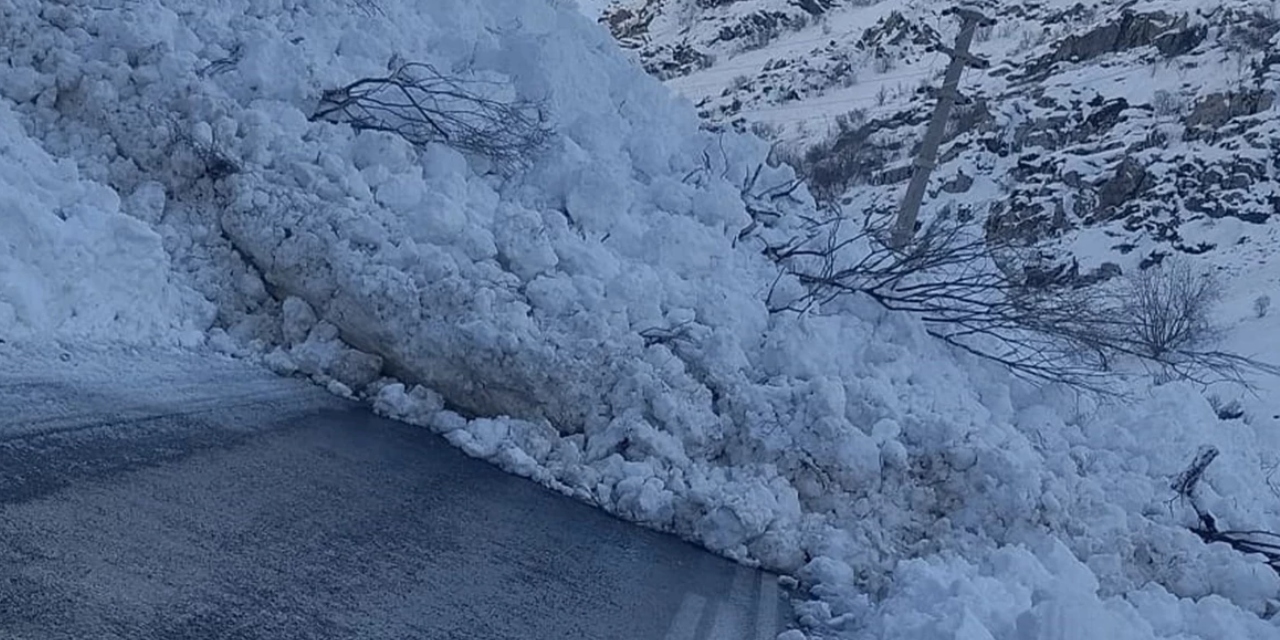 Hakkari-Çukurca kara yoluna çığ düştü