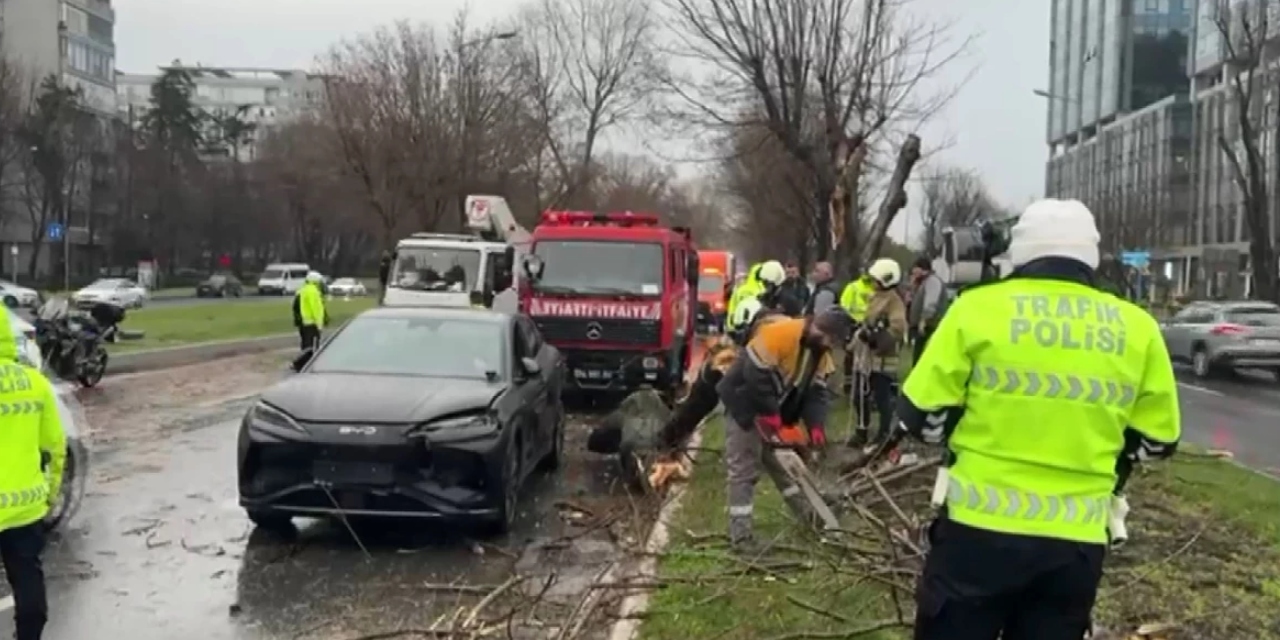 Fırtına ağacın dalını söktü: 4 araç birbirine girdi