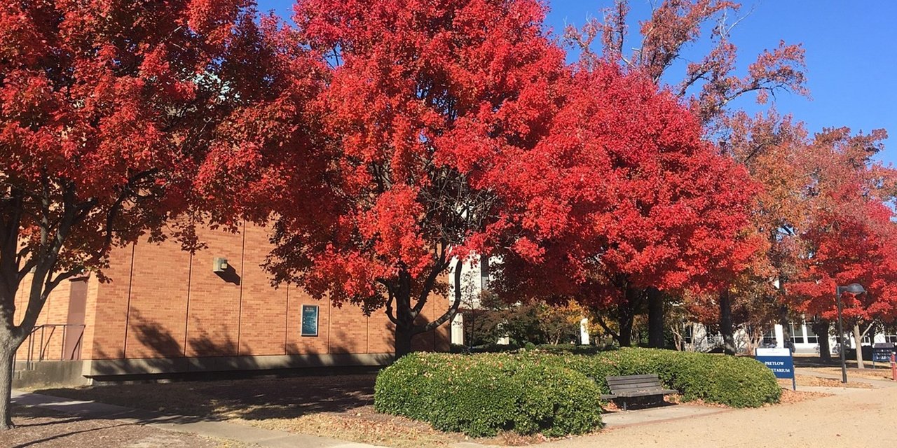 Üniversite öğrencilerinin yaşamayı en çok sevdiği il belli oldu: Eskişehir