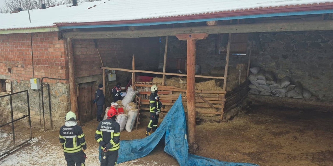 Çorum'da yem kırma makinesine düşen kişi hayatını kaybetti