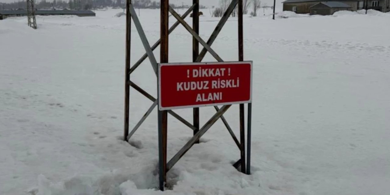 Hakkari'de bir köy kuduz nedeniyle karantinaya alındı