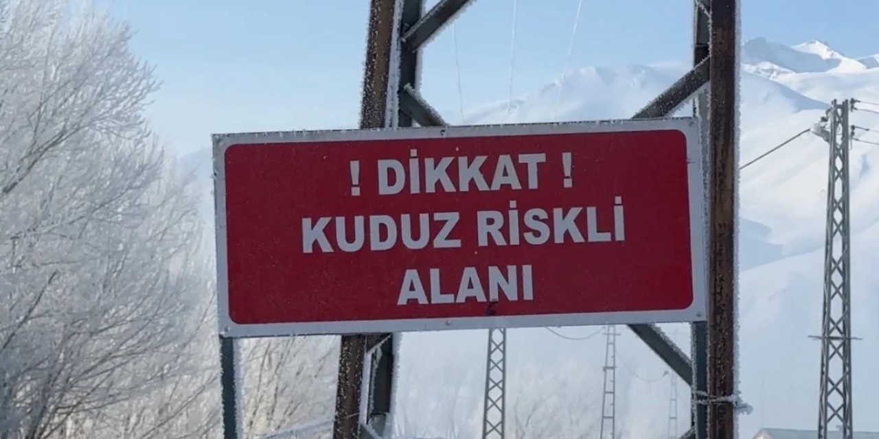 Yüksekova’da kuduz alarmı