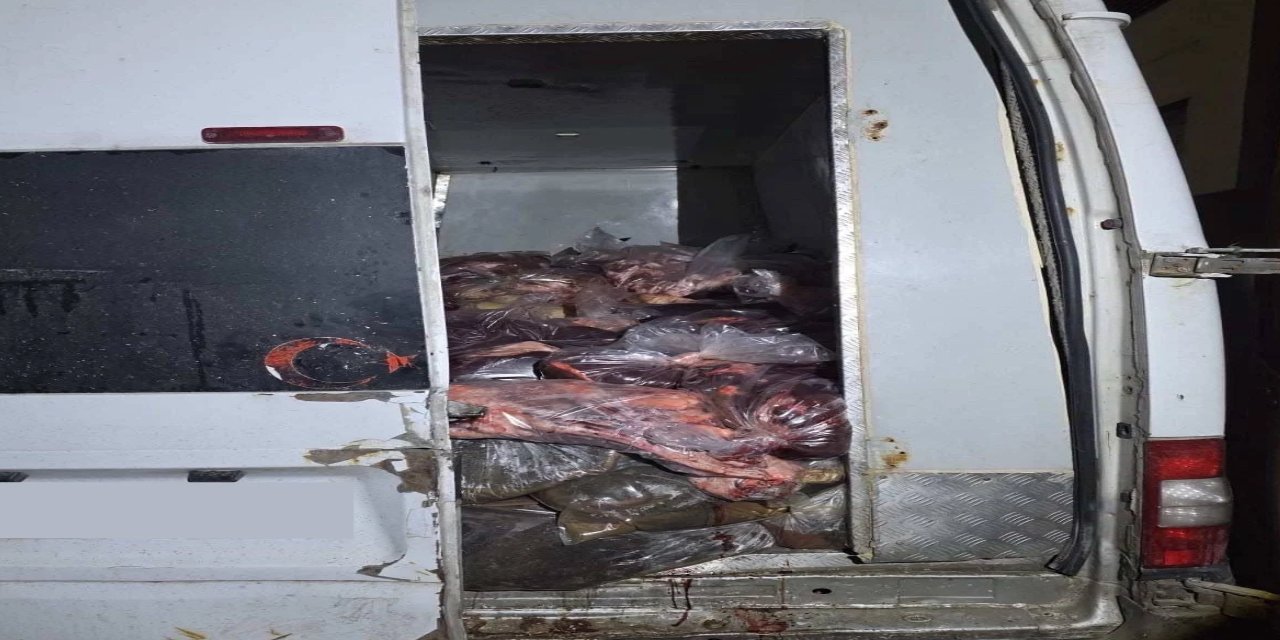 Sakarya'da 3 ton sakatat ele geçirildi