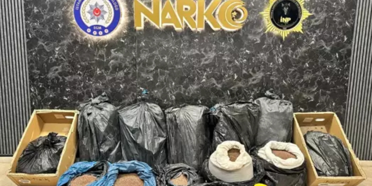 İstanbul'da kahveye emdirilmiş 370 kilo uyuşturucu ele geçirildi