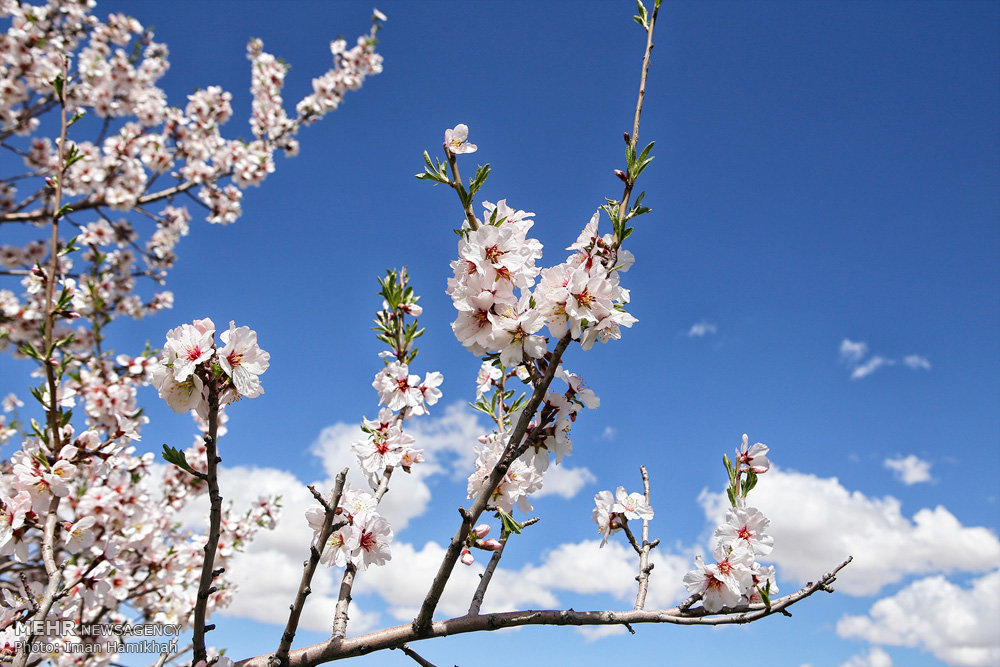 Baharın Müjdecisi Son Cemre Toprağa Düştü!
