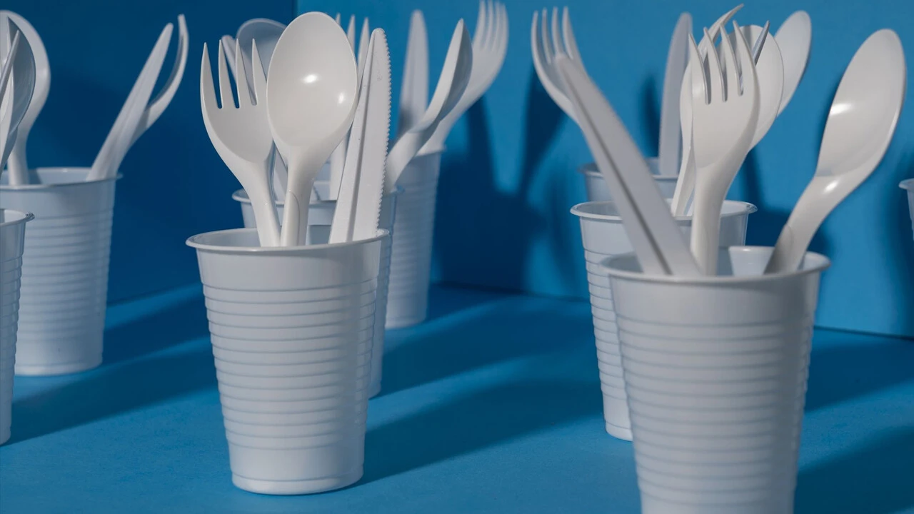 Türkiye’de Tek Kullanımlık Plastiklere Yasak Geliyor!