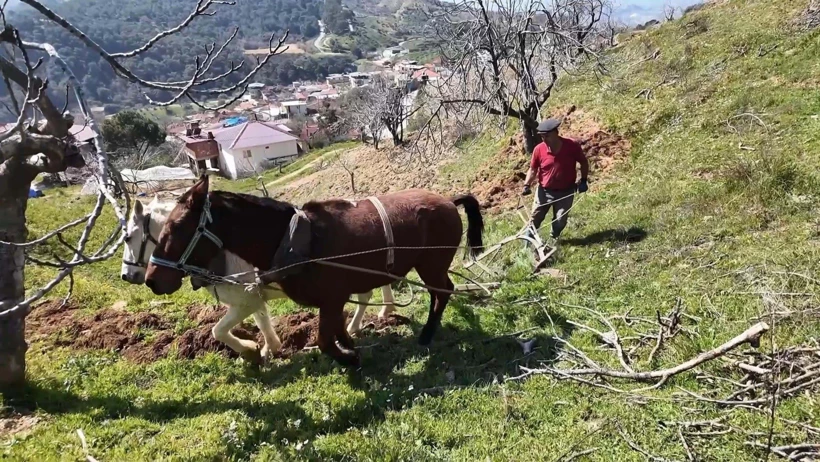 2 Aylık İş İçin 480 Bin TL Kazanç: Günlük 8 Bin TL Veriliyor Ama İşçi Bulunamıyor
