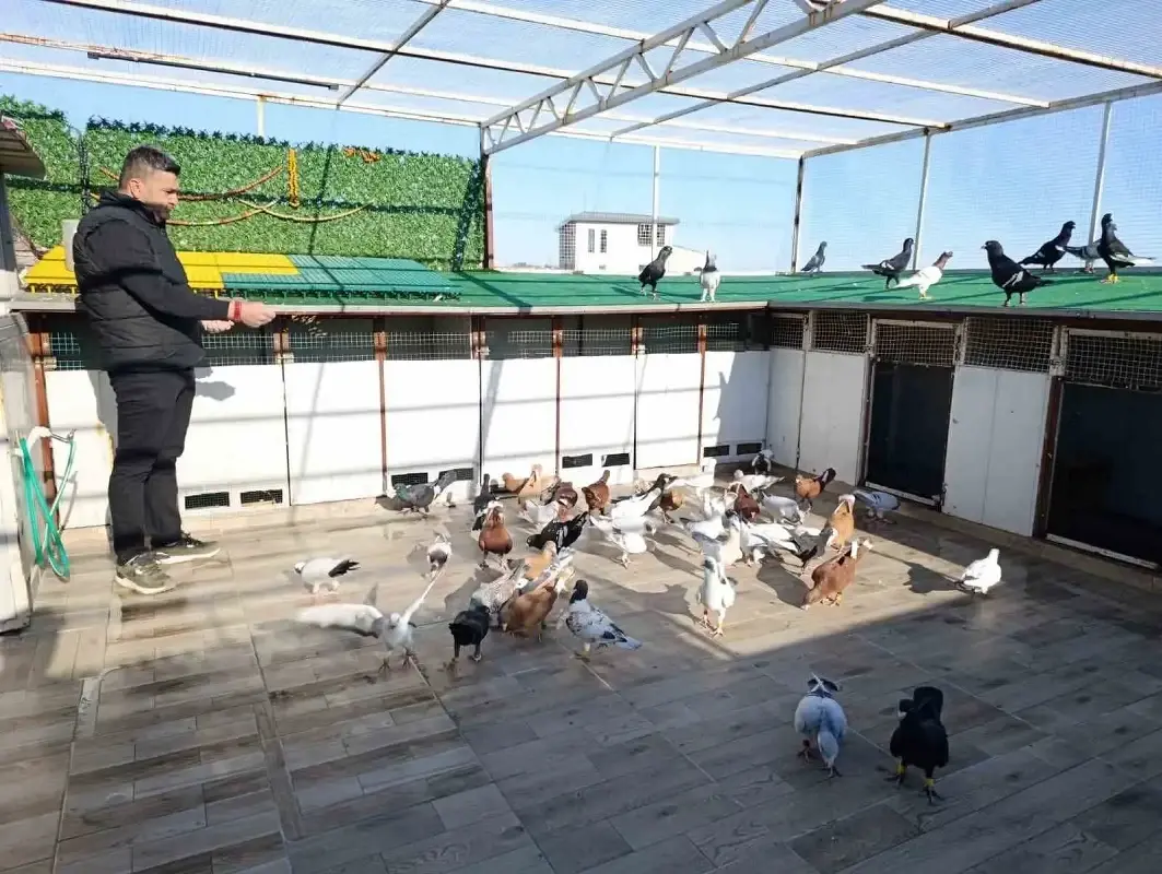 Memurluktan İstifa Etti, Bu İşe Başladı, Şimdi Tanesini Araba Fiyatına Satıyor!