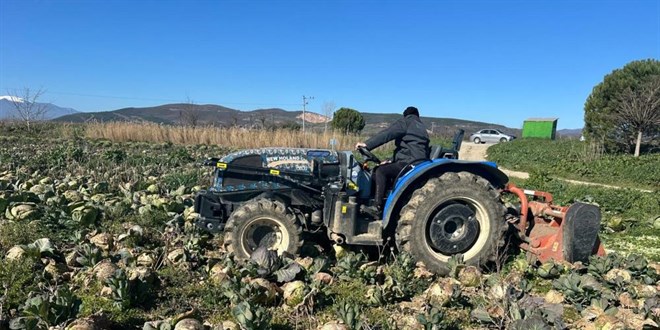 Pazarda 70 Liraya Satılıyor ama Tarlada Alıcısı Yok, Yüzbinlercesi Çürüyor!