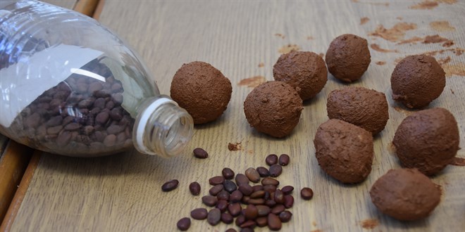 Lise Öğrencilerinden Proje: Yanan Ormanlar İçin "Tohum Topu Koruması"