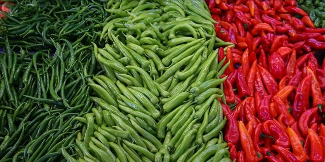 Biber Tarlada 7 Lira Markette 200 Lira!