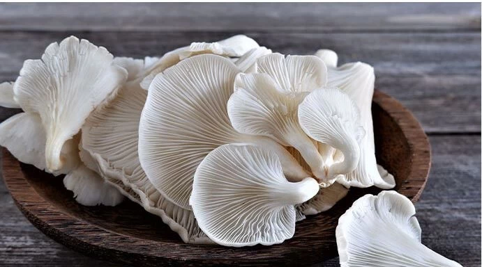 Kırmızı Ete Rakip: Pazarlarda 120 TL’ye Satılıyor