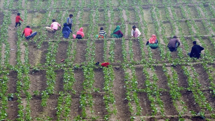 Ektikleri Üründen Sadece 90 Günde Zengin Oldular!
