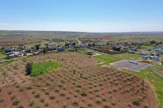 Şanlıurfa’da Dev Arkeoloji Kazısı: Japonlar Ve Çinliler İle Birlikte Yapılacak