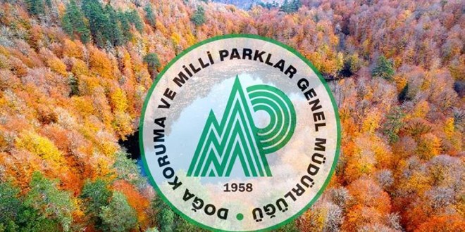 DKMP Personel Alımı Başvuruları Başladı: İşte Başvuru Rehberi