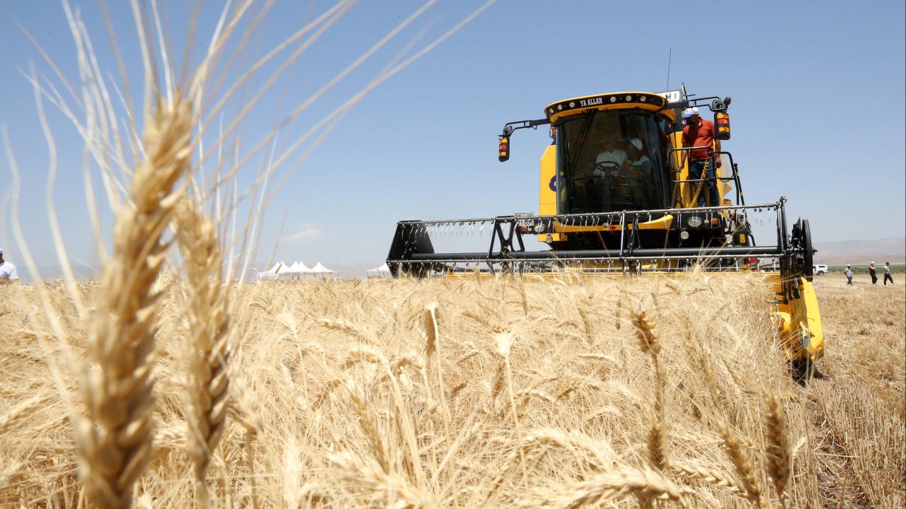 Hububat Alım Fiyatları Belli Oldu: 2026 Buğday Ve Arpa Destekleri Açıklandı