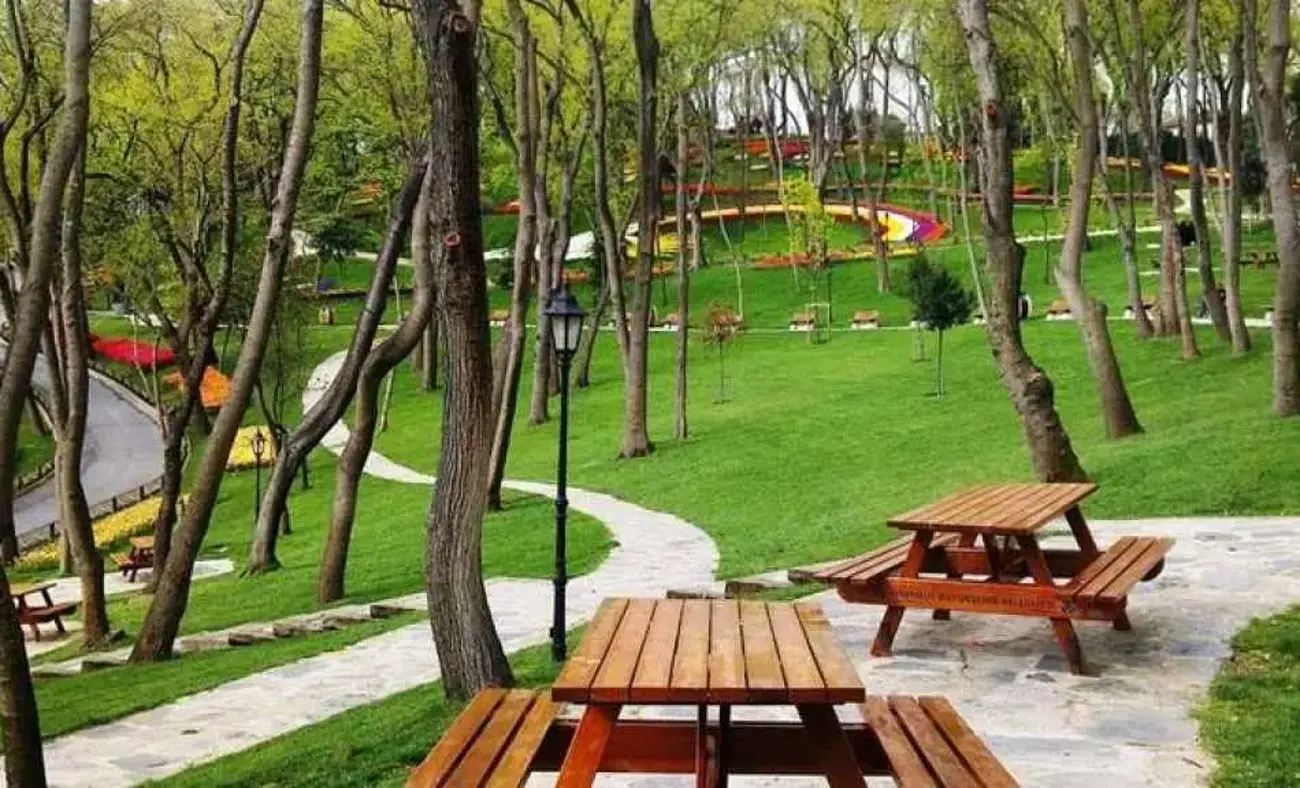 İstanbul'da Doğayla Buluşabileceğiniz 10 Harika Piknik Noktası