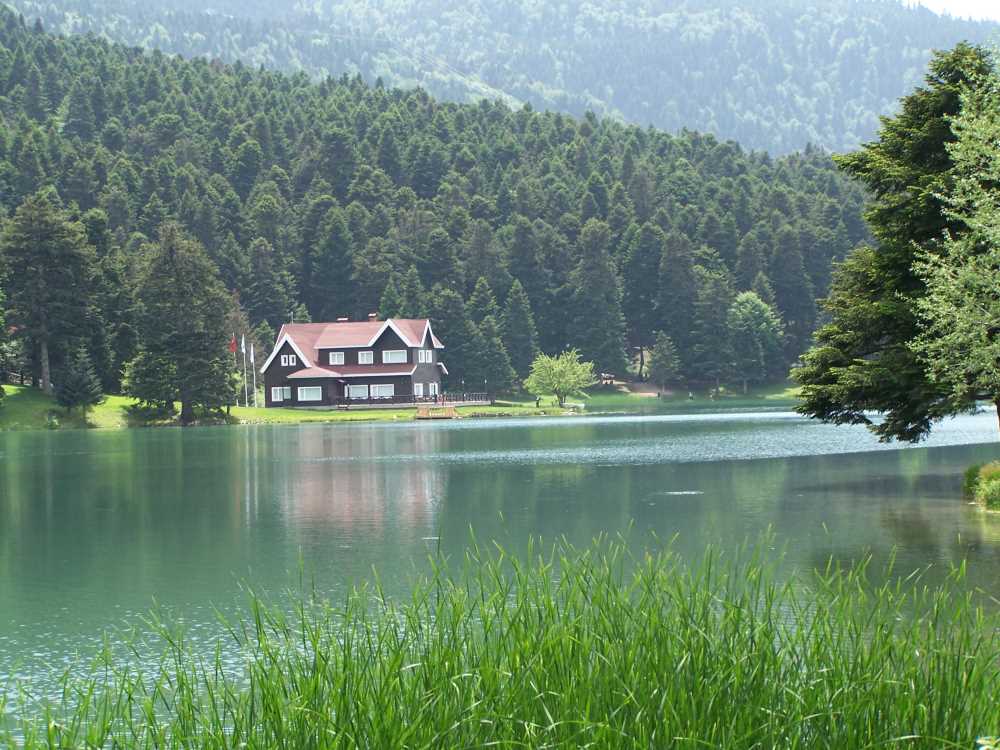 Bolu'da Ormanlara Giriş Yasaklandı: 30 Eylül'e Kadar Sürecek