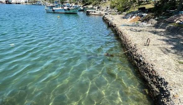 Valilik Duyurdu: Ordu'da Denize Giriş Yasaklandı