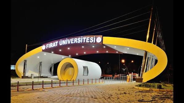 Fırat Üniversitesi 223 Sözleşmeli Personel Alımı Yapacak