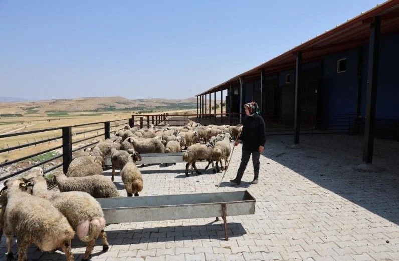 3 Çocuk Annesi Devlet Hibesiyle Başladı: Şimdi Paraya Para Demiyor
