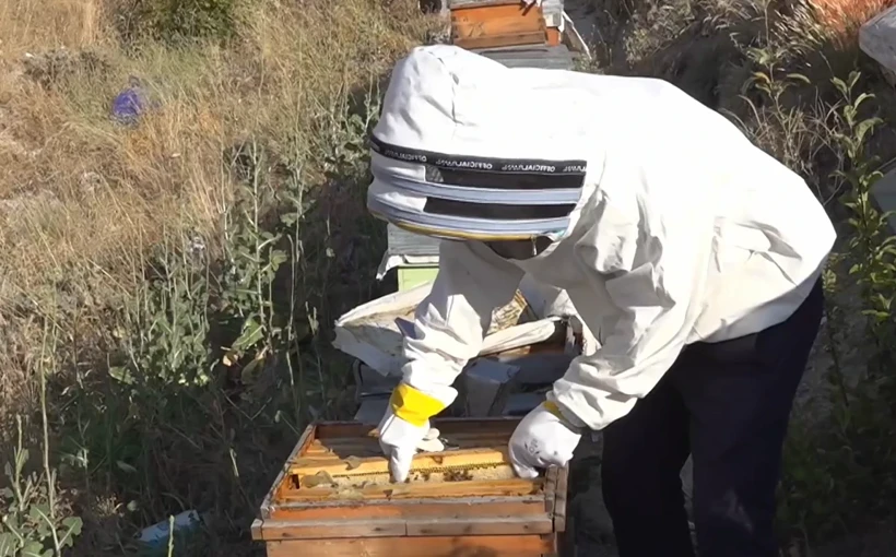 136 Kovanla Başladı, Tescilli Markaya Dönüştürdü: Kapadokya’nın Balını Dünyaya Taşıyor