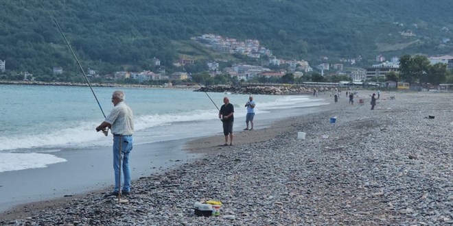 Karadeniz’de Balık Bereketi Başladı: Oltasını Alan Sahile Akın Etti