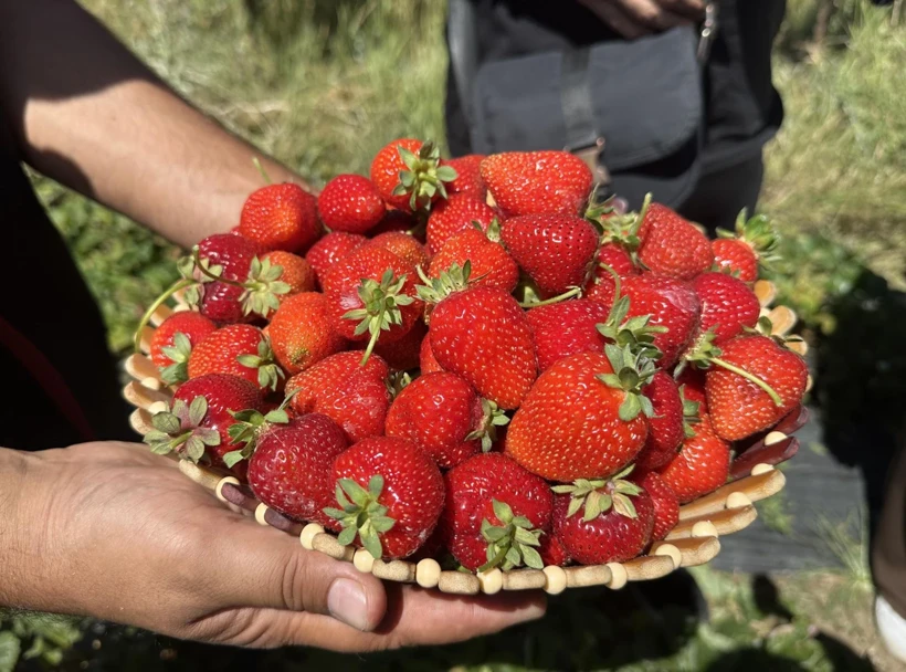Ağrı’da Hobiyle Başladı, Siparişlere Yetişemiyor