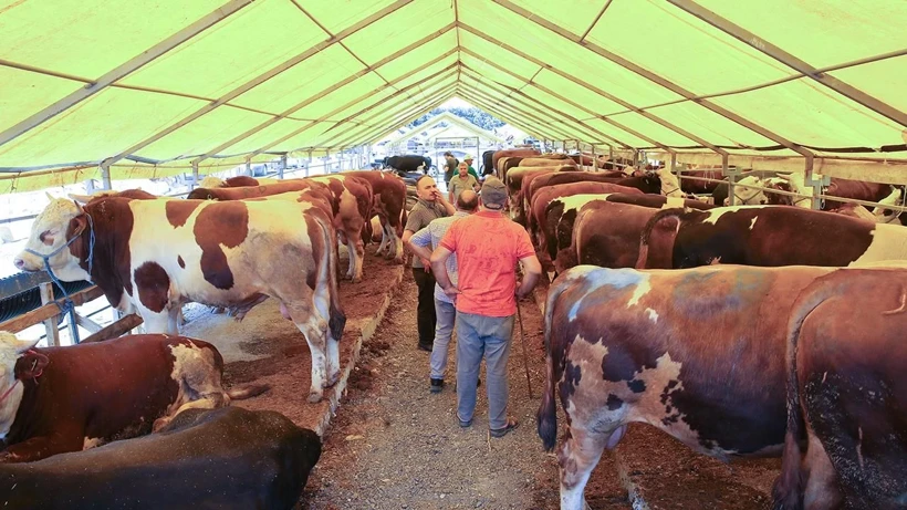 Bir İlimzide Hayvan Pazarları Kapatıldı: Yasak İkinci Emre Kadar Sürecek