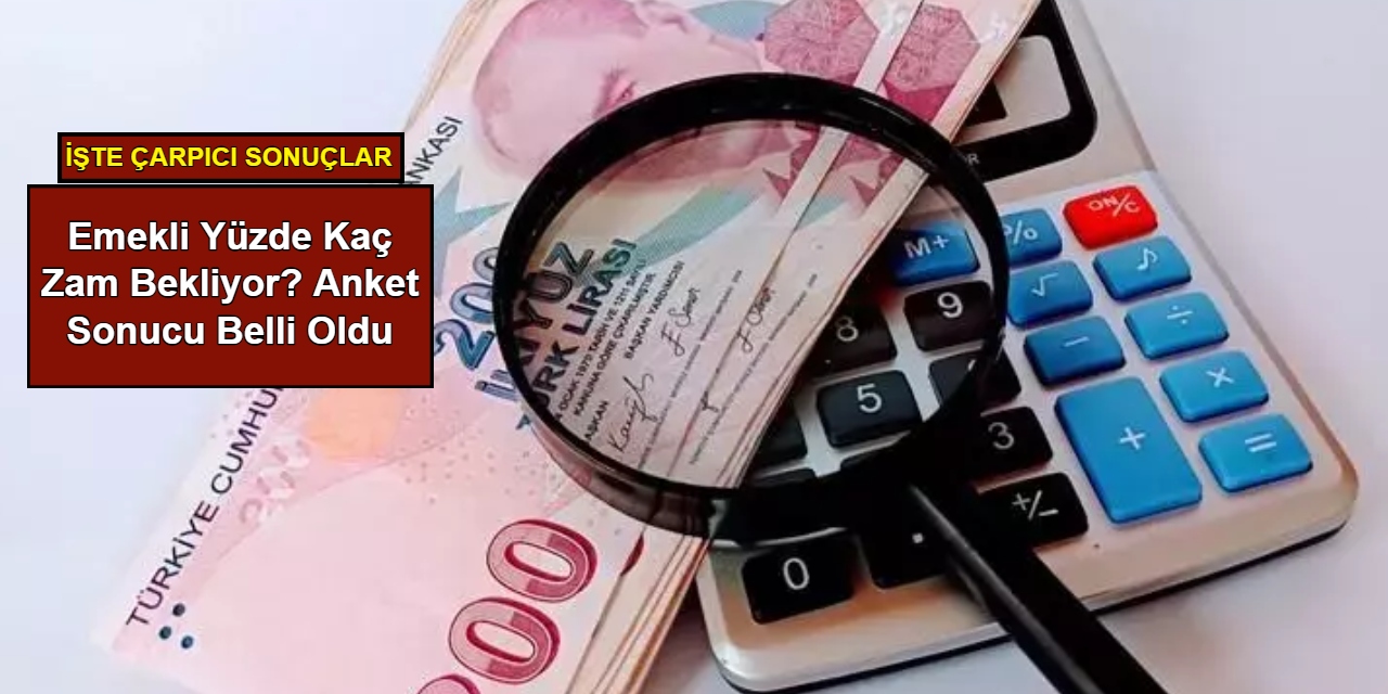 Emekli yüzde kaç zam bekliyor? Anket sonucu belli oldu