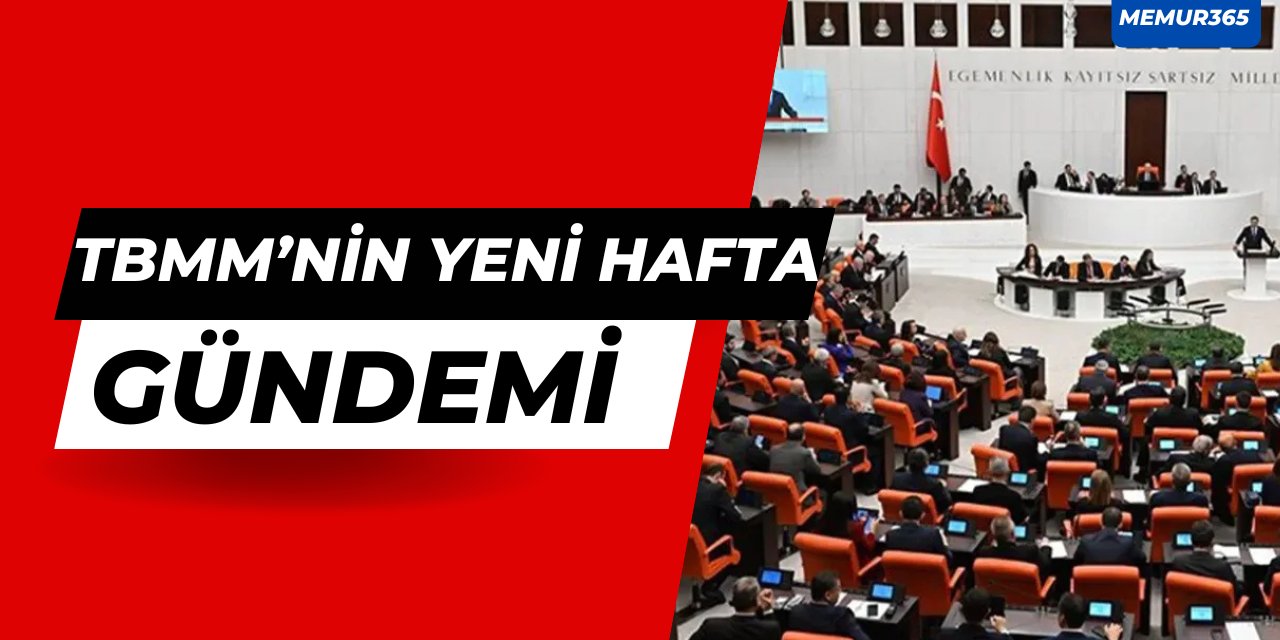 2024 yıl sonu geldi: TBMM'nin yeni hafta gündemi oldukça yoğun