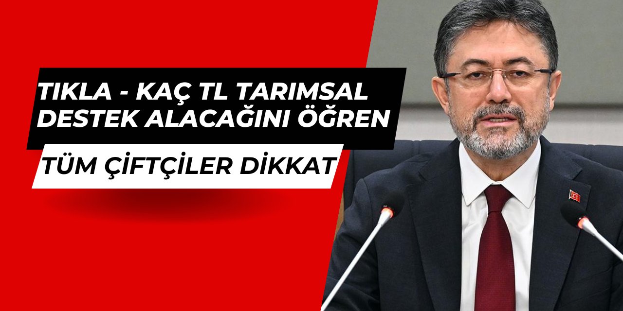 Çiftçiler, 2025'te ne kadar tarımsal destek alacağını tek tıkla öğrenebilecek