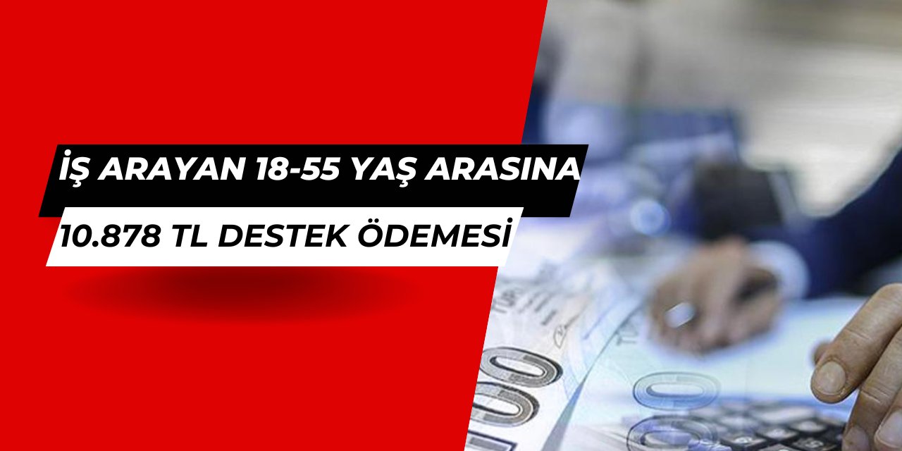 İşe yönlendirme yardımı başvurusu başladı: İş arayanlara 10.878 TL destek ödemesi