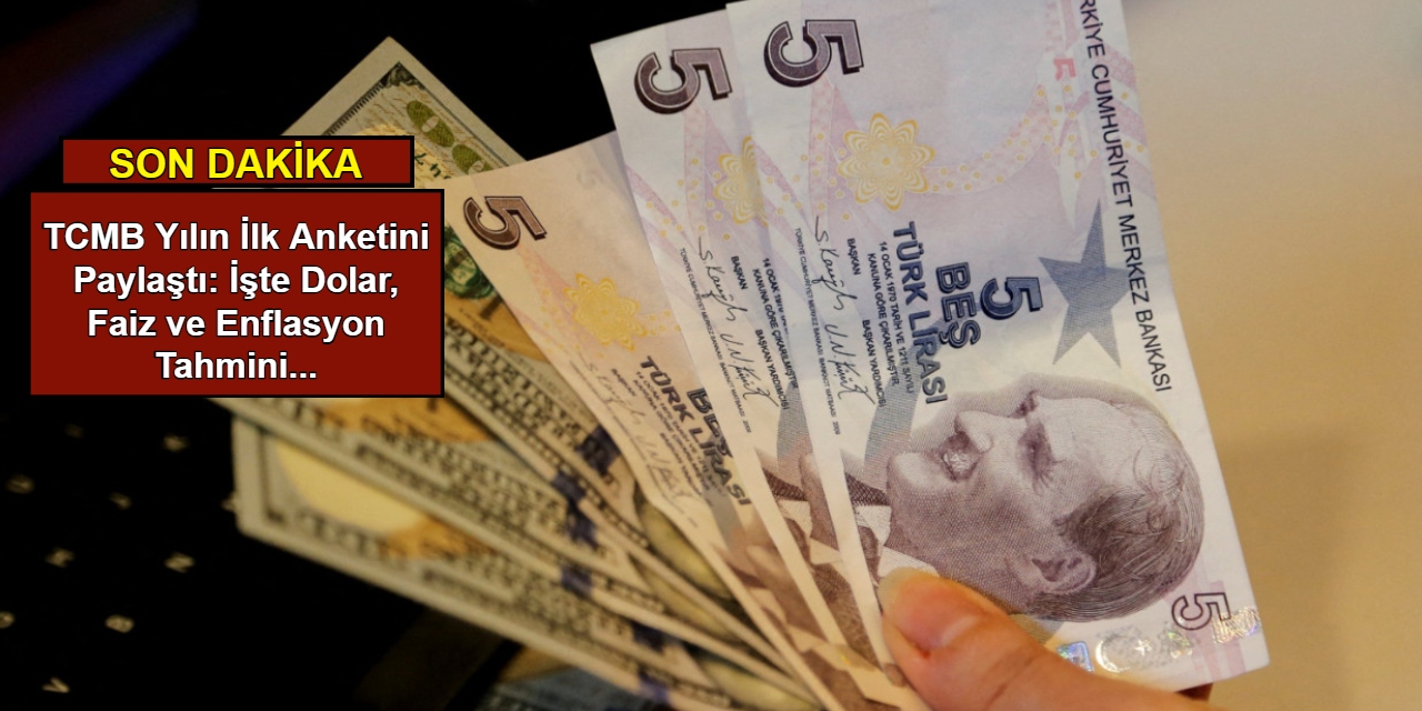 Merkez Bankası yılın ilk anketini paylaştı: İşte dolar, faiz ve enflasyon tahmini