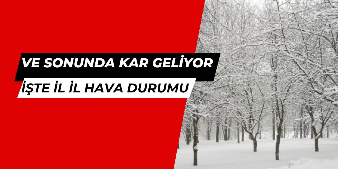 Ve sonunda kar geliyor