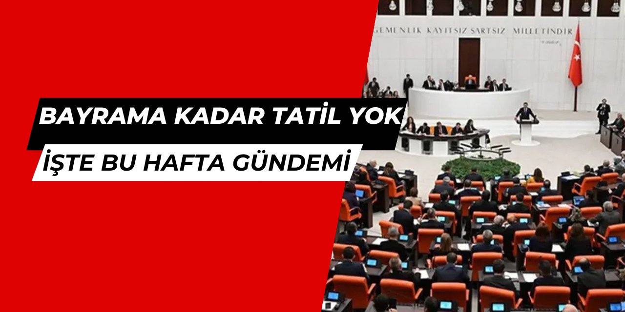 Bayrama kadar tatil yok: İşte TBMM Şubat ayı gündemi