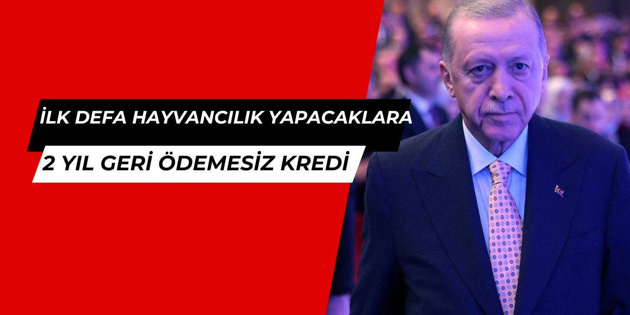 İlk defa hayvancılık yapacaklara 2 yıl geri ödemesiz kredi verilecek