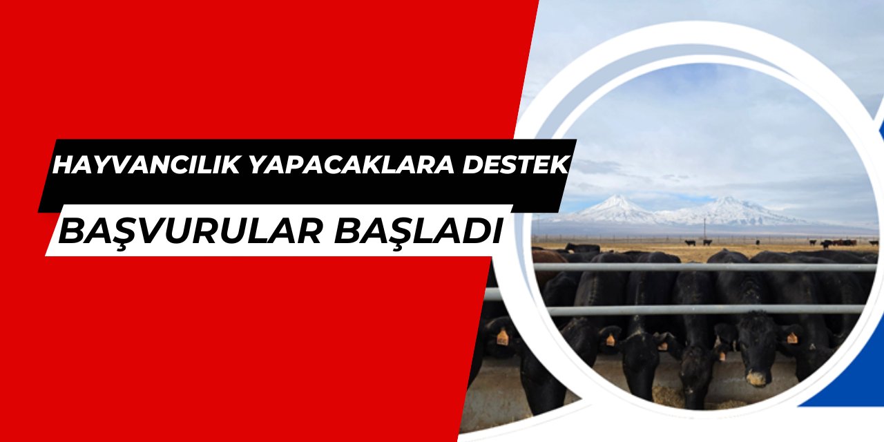 Hayvancılık yapacaklara destek: Kırsalda bereket başvurusu formu yayınlandı