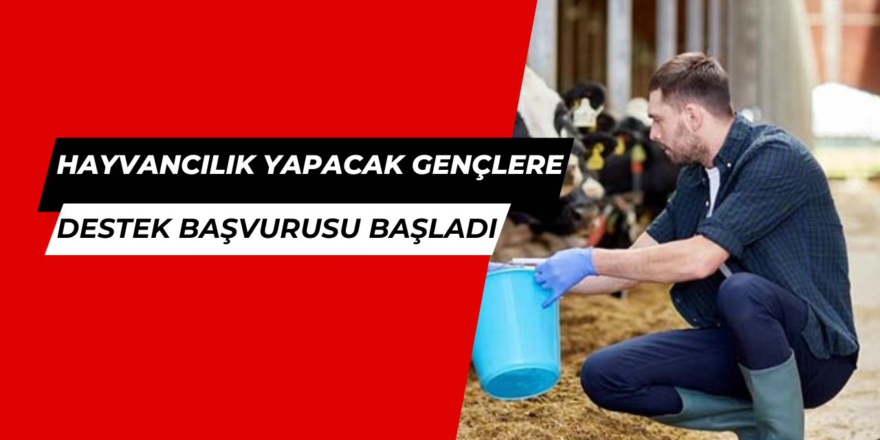 Kırsalda bereket hayvancılığa destek başvurusu 81 ilde başladı